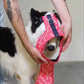 ZEE.DOG PHANTOM ADJUSTABLE MESH PLUS DOG HARNESS